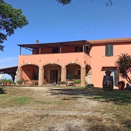 Agriturismo Marruchetone Vecchio マンチャーノ エクステリア 写真
