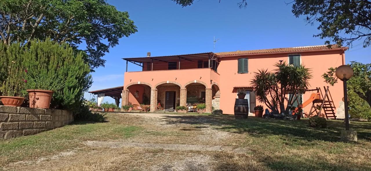 Agriturismo Marruchetone Vecchio マンチャーノ エクステリア 写真