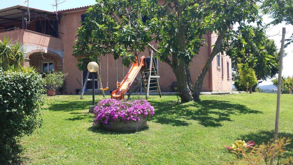 Agriturismo Marruchetone Vecchio マンチャーノ エクステリア 写真
