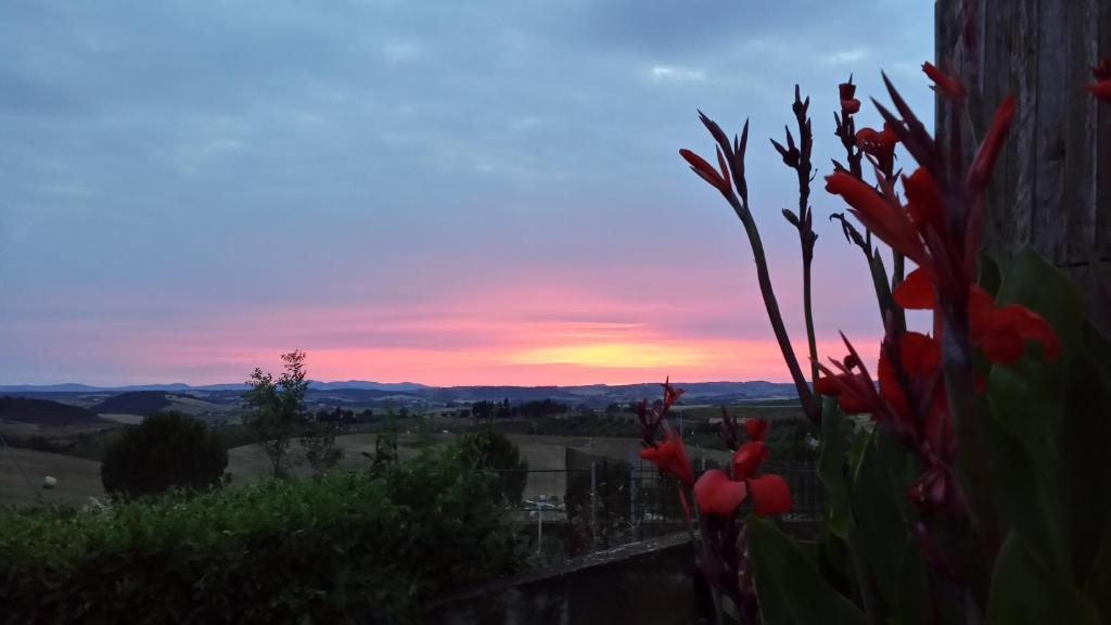 Agriturismo Marruchetone Vecchio マンチャーノ エクステリア 写真