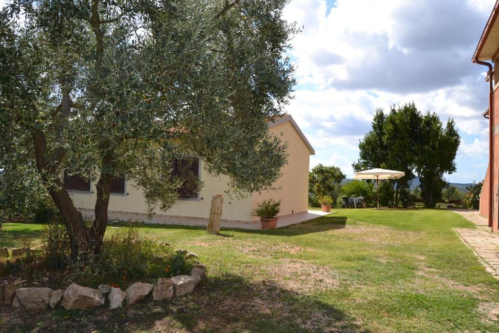 Agriturismo Marruchetone Vecchio マンチャーノ エクステリア 写真